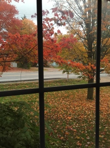 Autumnal Glow Outside the Window